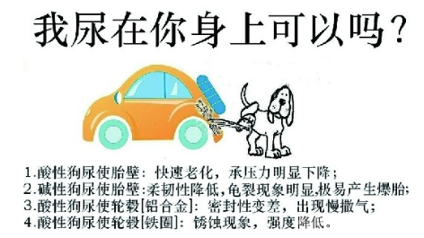 狗尿对轮胎的危害真的这么严重吗?