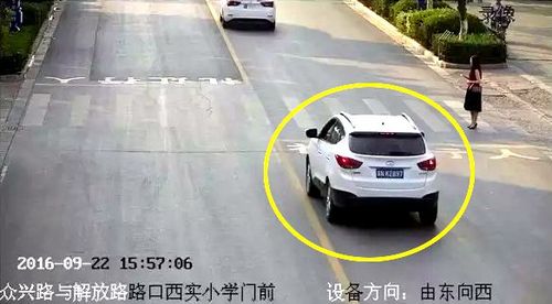 不礼让斑马线?两张照片锁定你!-2 不礼让斑马线?两张照片锁定你!-2