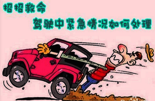 图片4 图片4